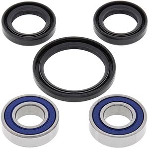 product/a/l/all-balls-racing_41251052_noir-argente_1.jpg