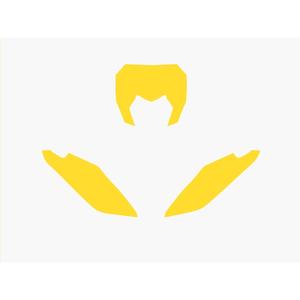 1095866001-motorcycle-plate-holder-blackbird-racing-fantic-xx-yel-one-size