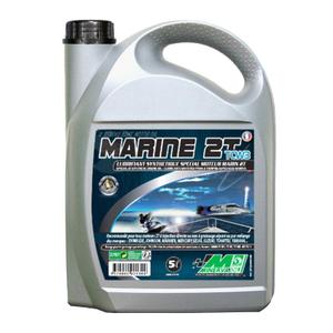 25917-motorcycle-engine-oil-minerva-oil-tcw3-100-france-5-l-grey-5-l