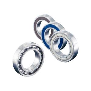 4160037-bearing-nachi-6003-2nse-c3-silver-17x35x10-mm