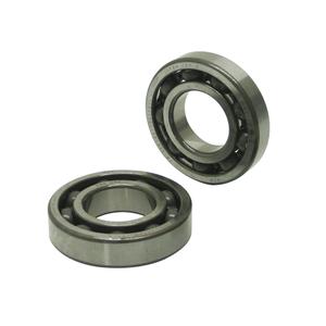 408351145-bearing-ntn-tn9-c4-silver-one-size