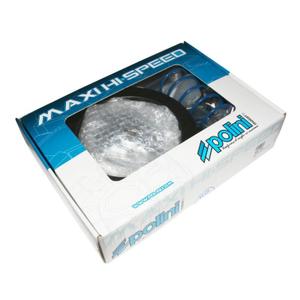 137852-maxiscooter-hi-speed-speed-controller-polini-sym-125-joymax-2015-125-gts-euro-4-silver-one-size